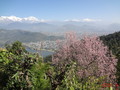 DSC00541