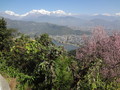 DSC00542