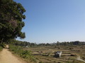 DSC00543