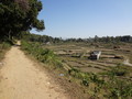 DSC00544