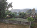DSC00553