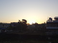 DSC00554