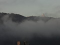 DSC00558