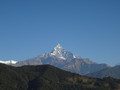 DSC00564