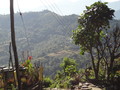 DSC00573