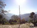 DSC00575