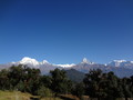 DSC00581