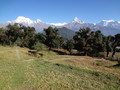 DSC00582