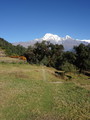 DSC00583