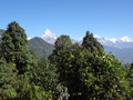 DSC00586