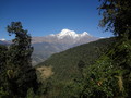 DSC00590