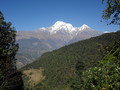 DSC00591