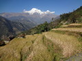 DSC00593