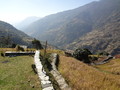 DSC00594