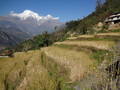 DSC00595