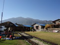 DSC00597