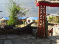 DSC00599