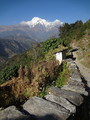 DSC00601