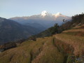 DSC00603