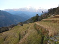 DSC00604