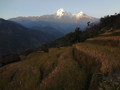 DSC00605