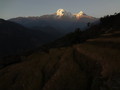 DSC00607