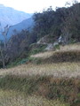 DSC00616