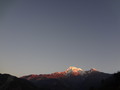DSC00620