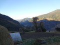 DSC00625