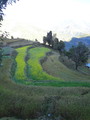 DSC00626