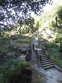 DSC00629