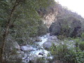 DSC00630
