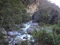 DSC00631