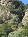 DSC00636