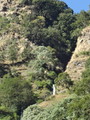DSC00637