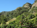 DSC00638