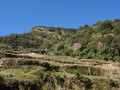 DSC00642