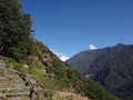 DSC00646