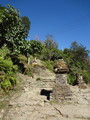 DSC00650