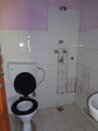 DSC00653