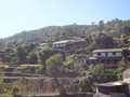 DSC00664