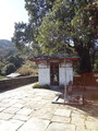 DSC00673