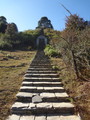 DSC00677