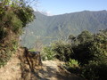 DSC00678
