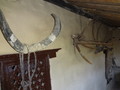 DSC00696