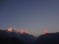 DSC00704