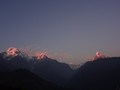 DSC00705