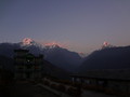 DSC00707