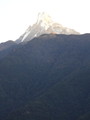 DSC00720