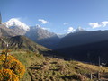 DSC00725